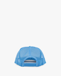 Sky blue sardine hat