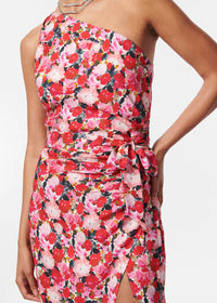 Nanu dress - Hyper Blossom