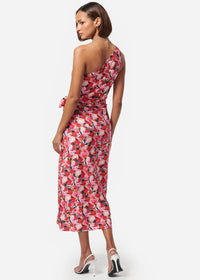 Nanu dress - Hyper Blossom