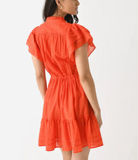 Iris dress - tomato dot